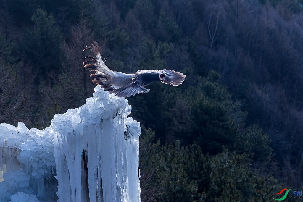 sxhdR3250103 (818)_DxO.jpg