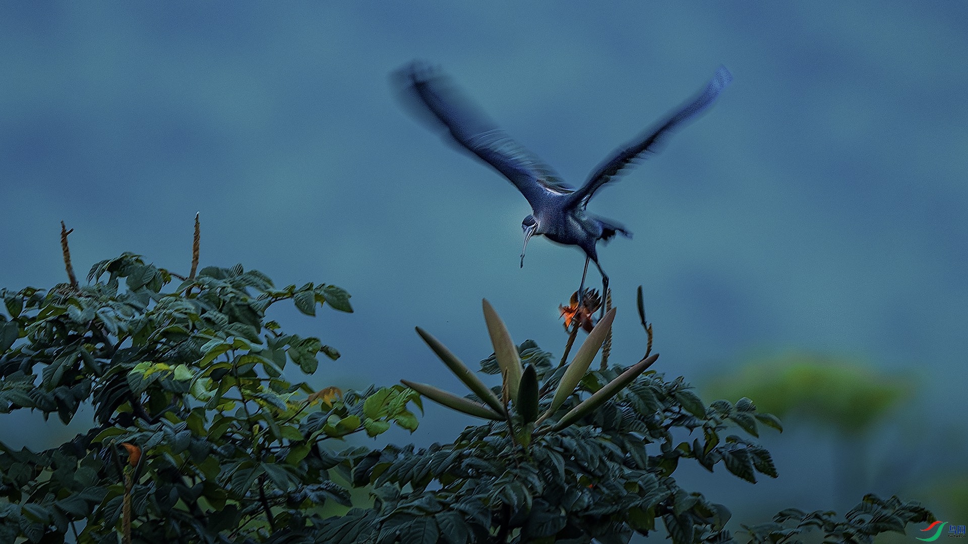 1_DSC7011-����ǿ-NR ����.jpeg