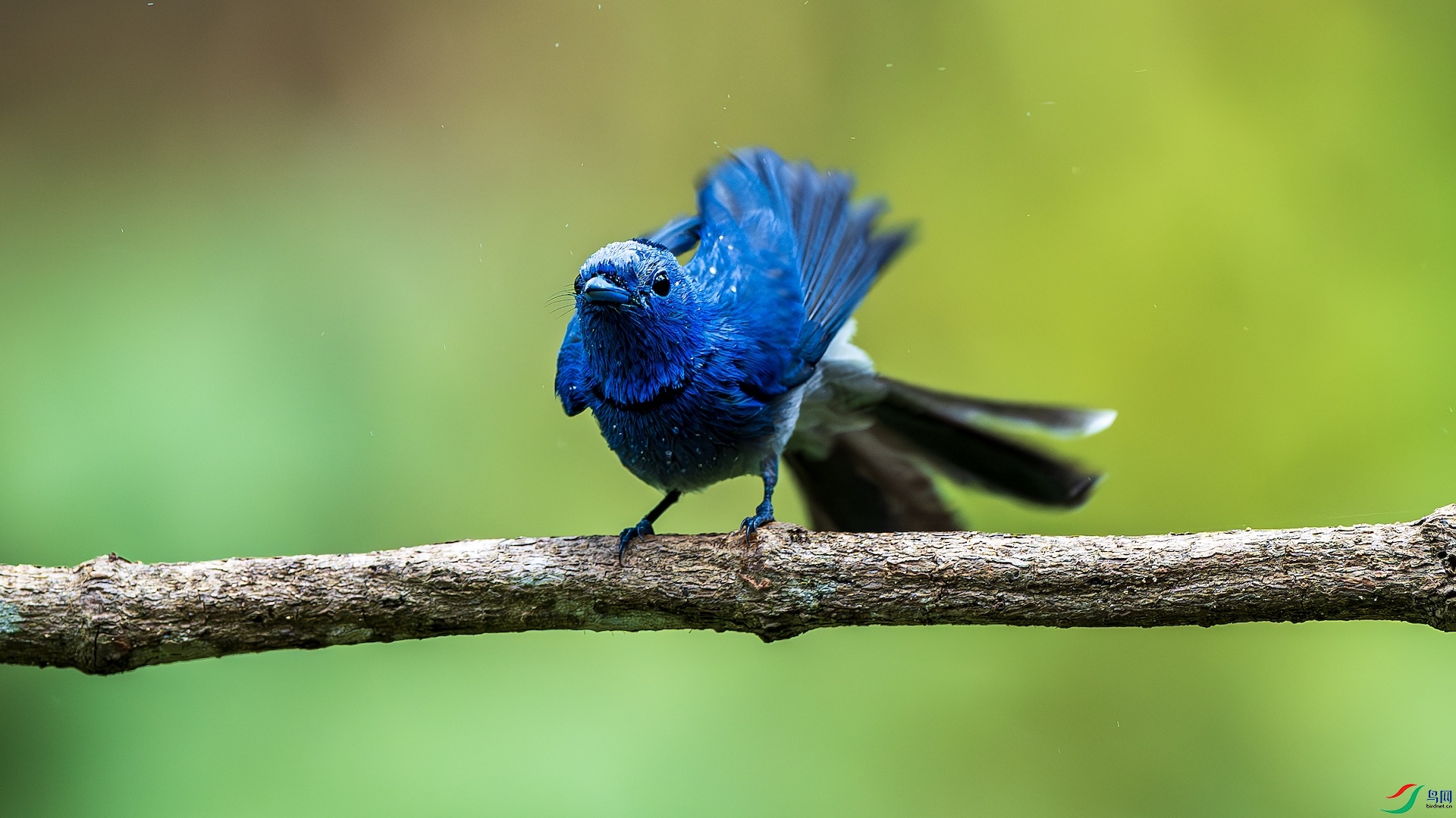 1_XXL1440-����ǿ-NR ���� 2.jpeg