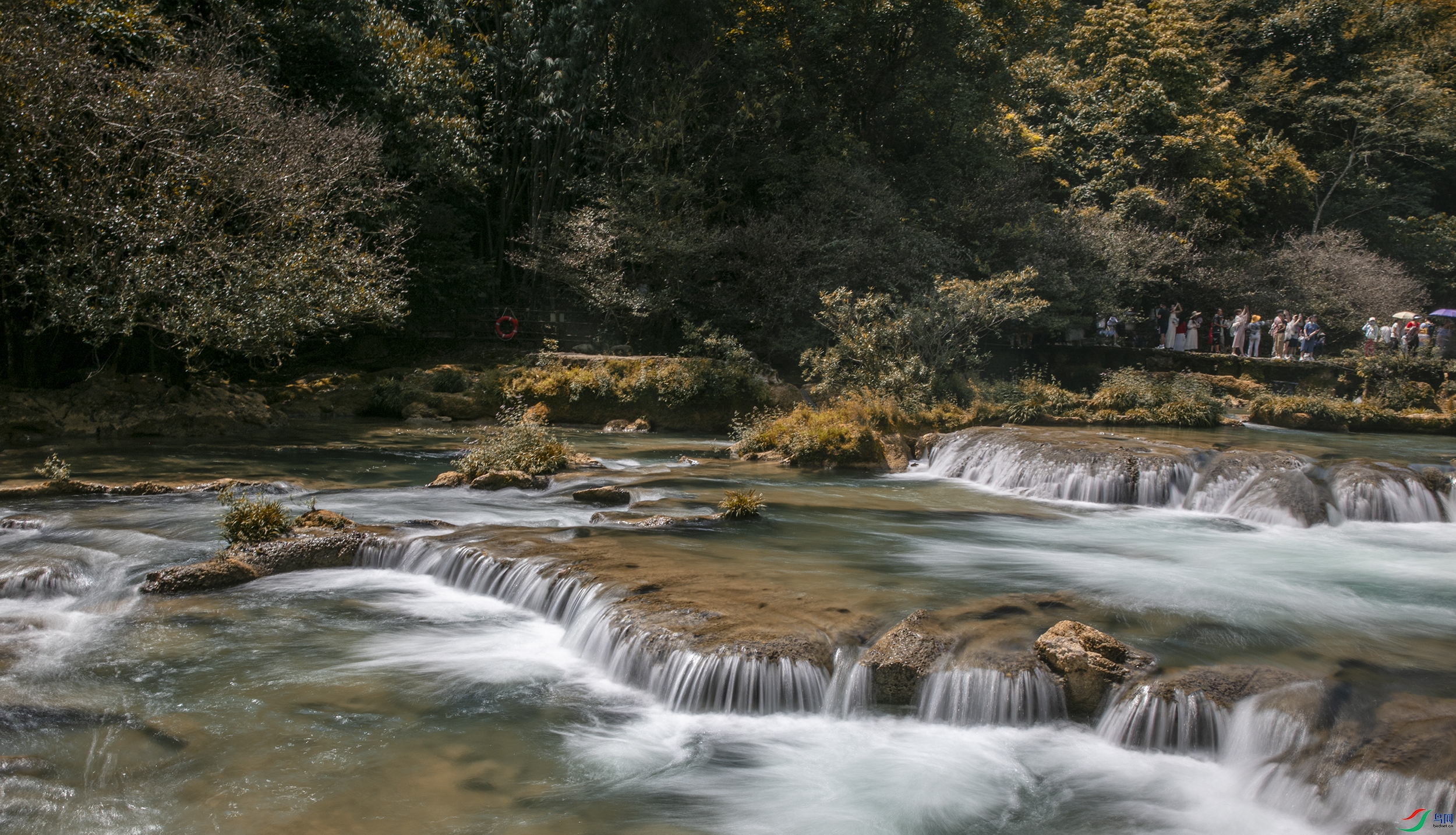 CB0A3181 ����.jpg