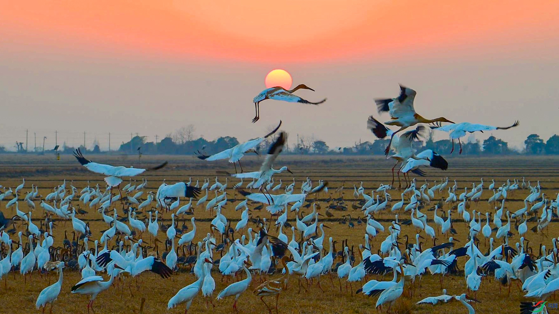 1��20�� (1)-����.jpg