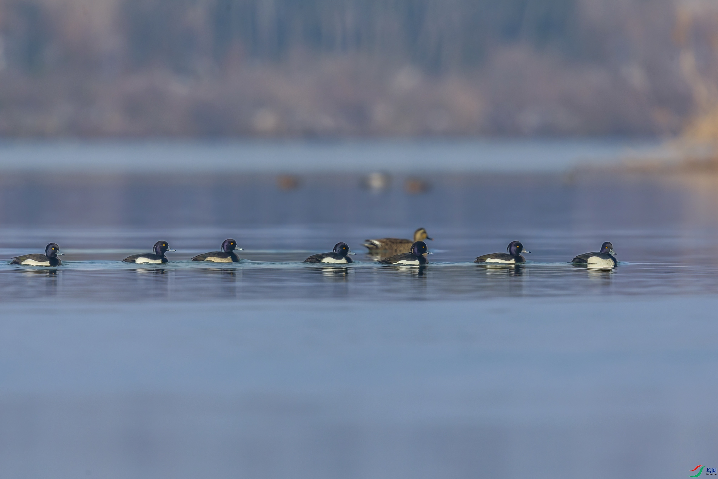 AE1V0213 ����.jpg