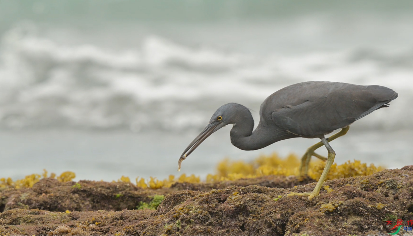 {53356BE4-A6B7-4EF1-89F5-9960791806AC} ����.jpg