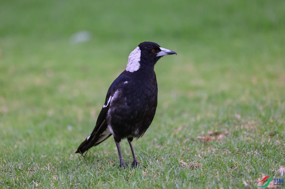 IMG_4021.jpeg