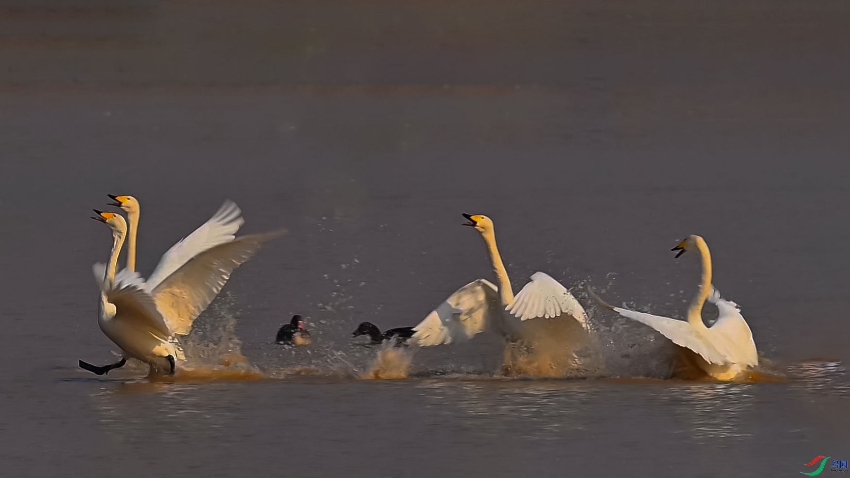 1��20�� (11)-���� ����.jpg