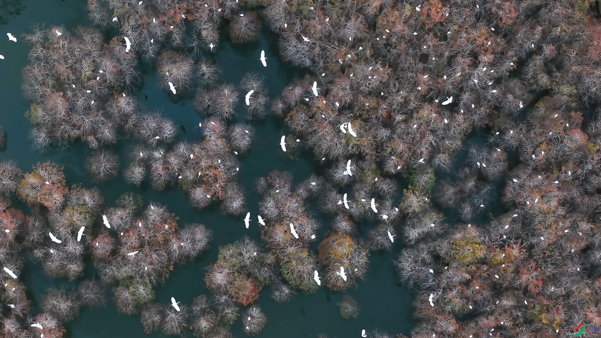 1��20�� ���ؼ�԰ ����.jpg