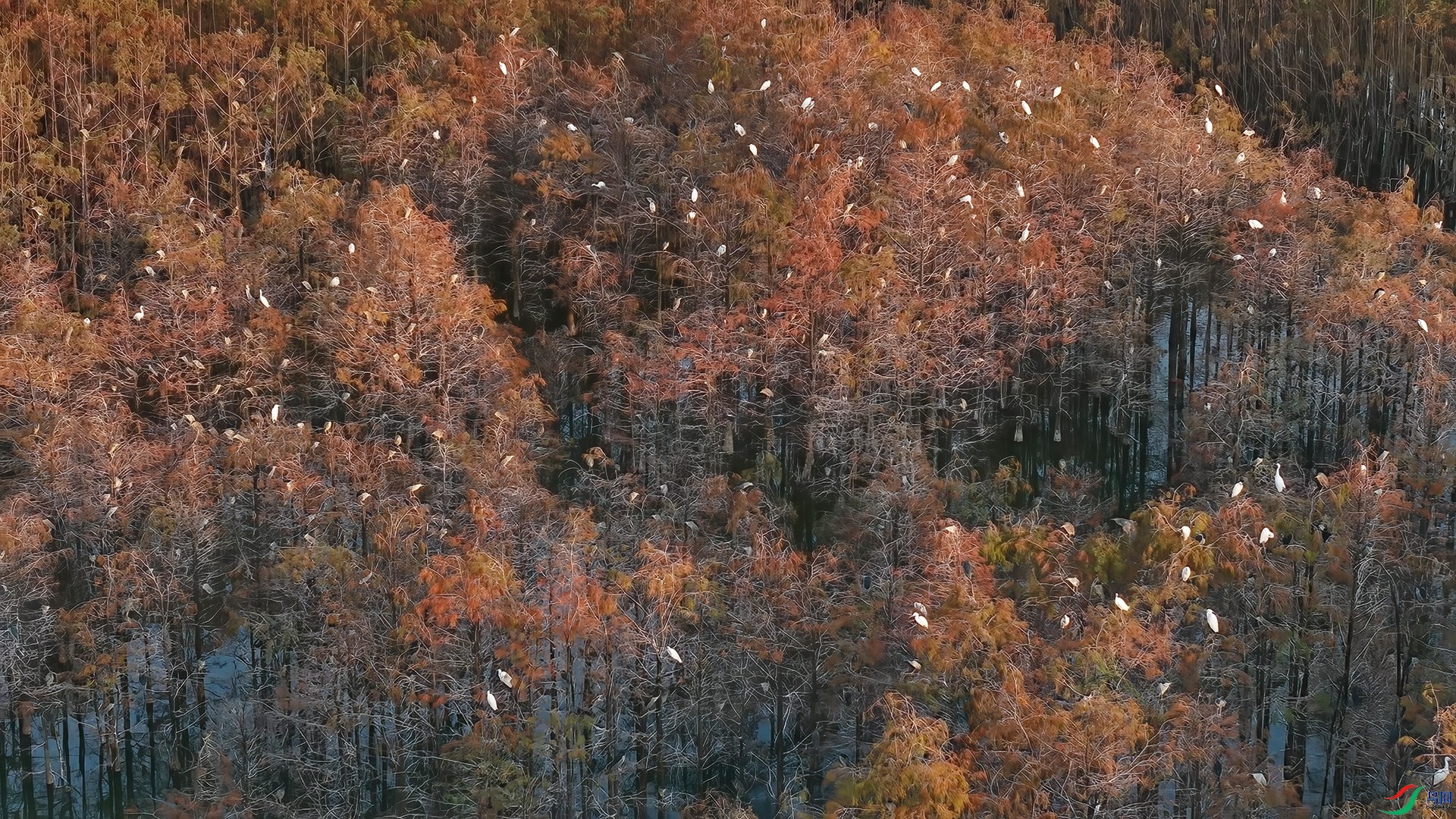 1��20�� ���ؼ�԰2 ����.jpg