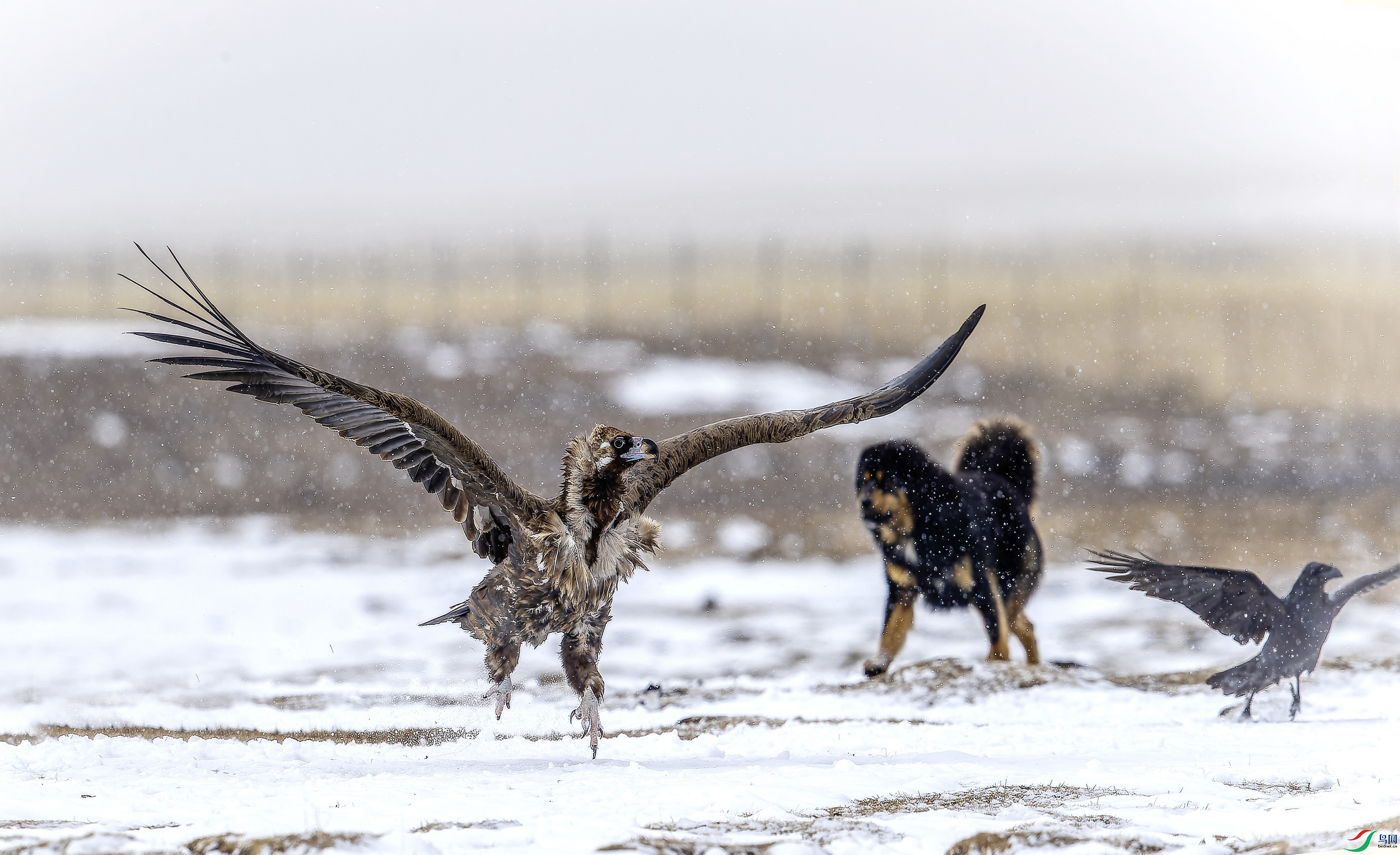 ͺ�� 3 (8)-1.jpg