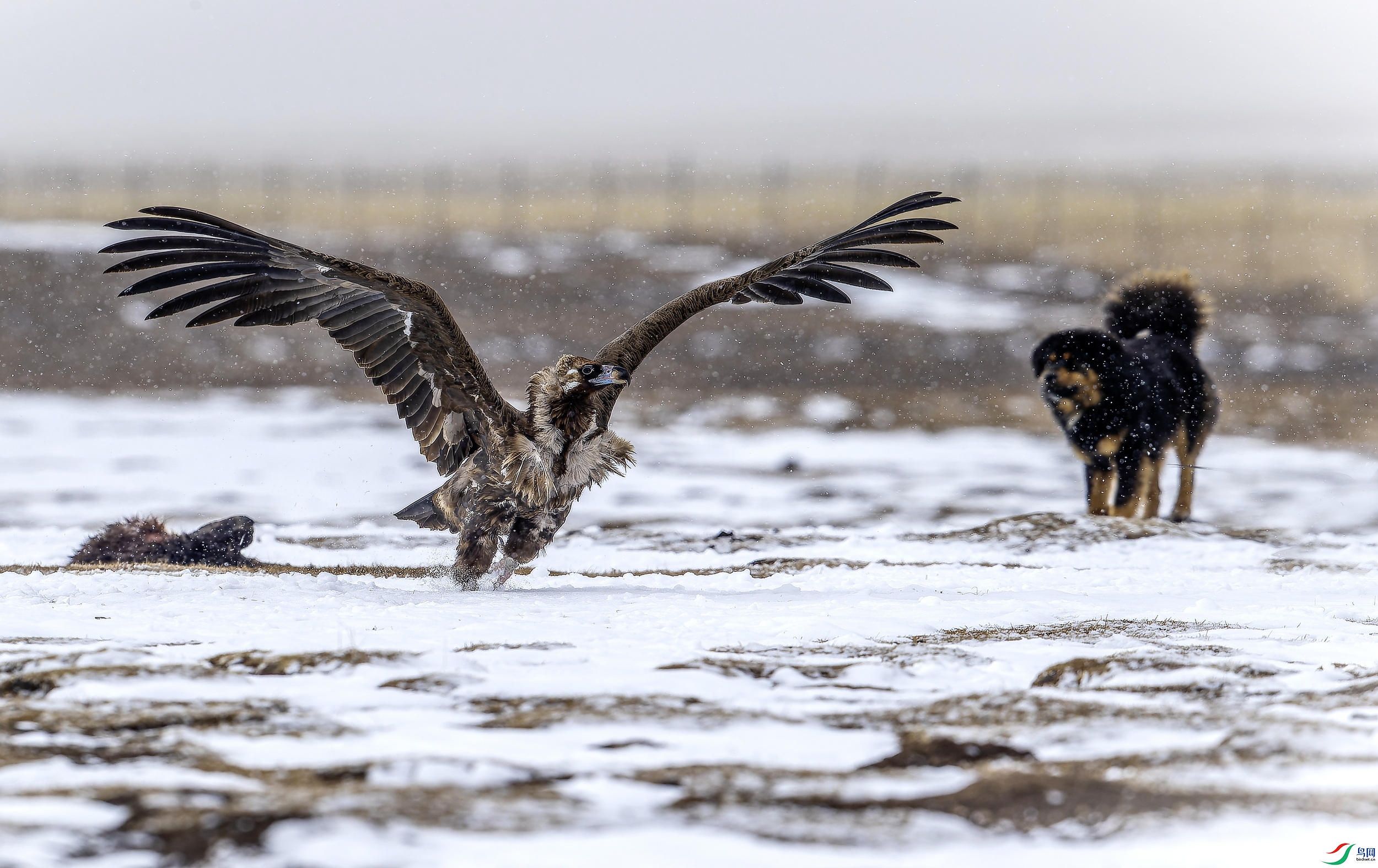 ͺ�� 3 (7)-1.jpg