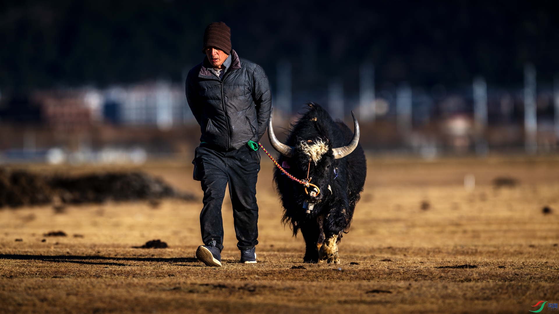 �¸���·��