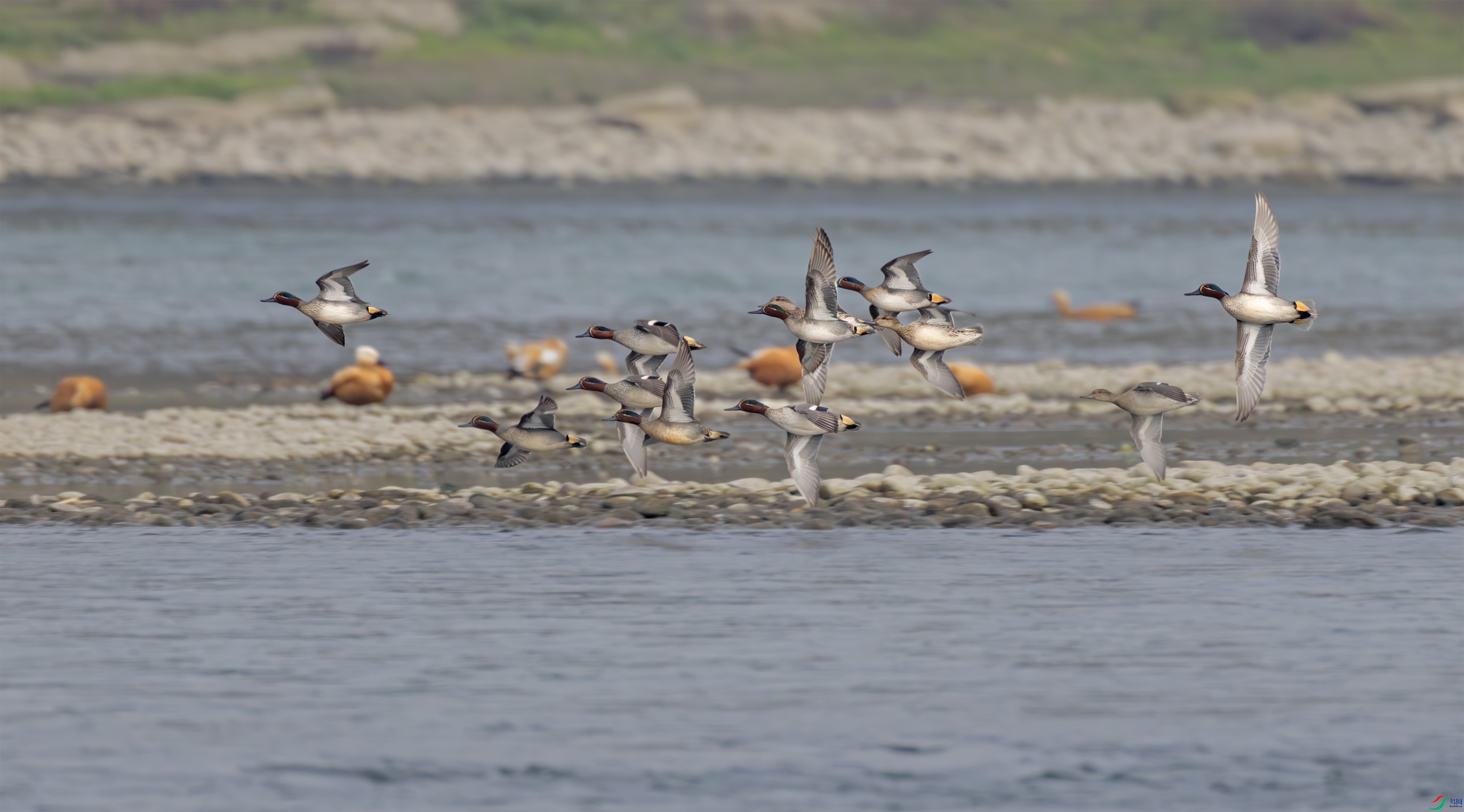 2I1A0038-����ǿ-NR ����.jpg