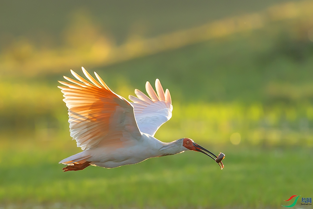 0F7A8328 ����.jpg