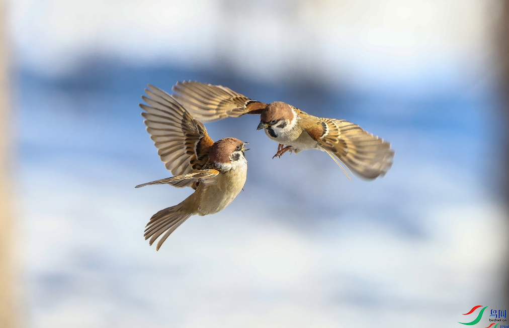 ���Ŀ��� ���裨�ٻ����������20.png