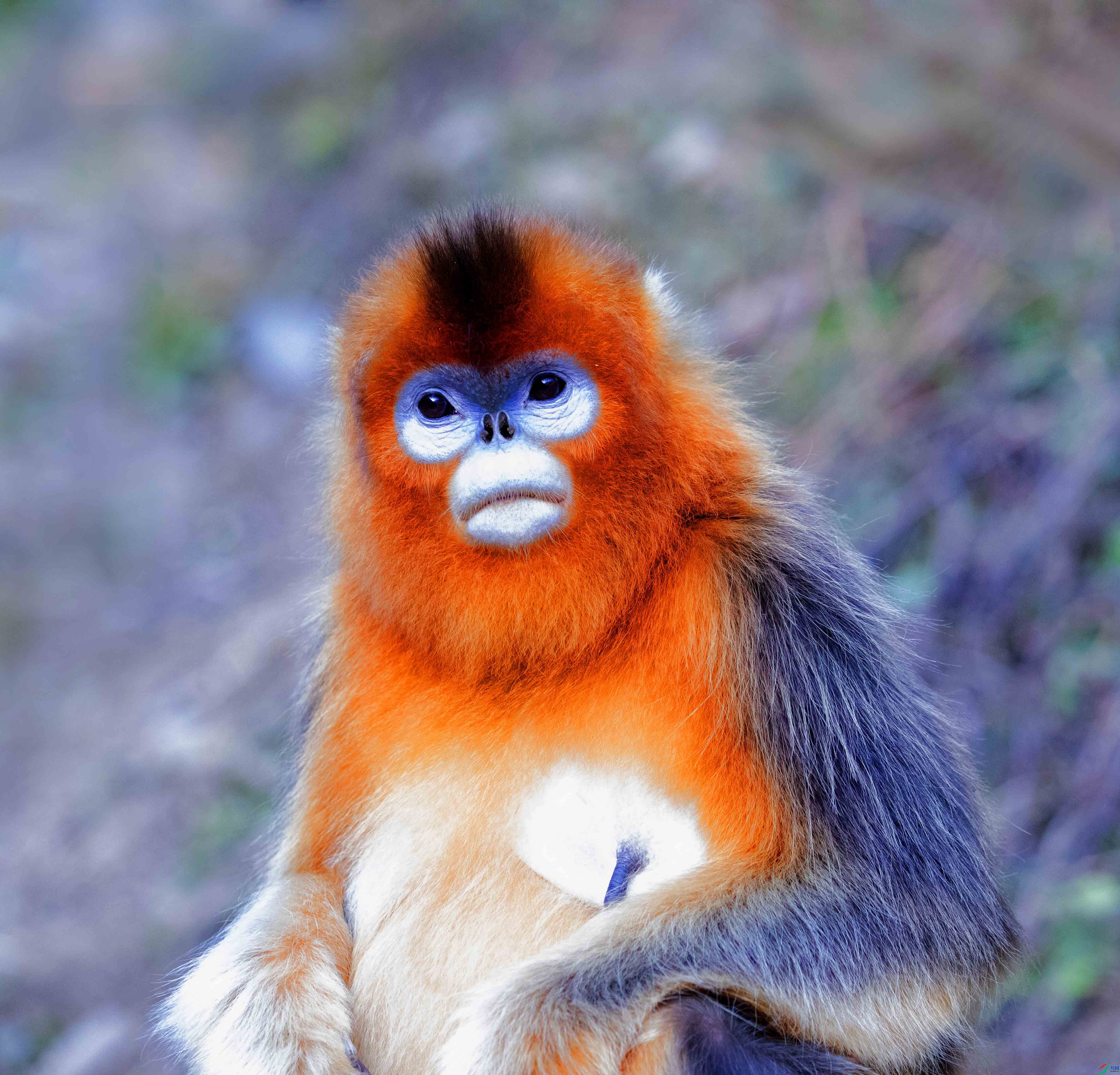 314A0749 ���� 2.jpg