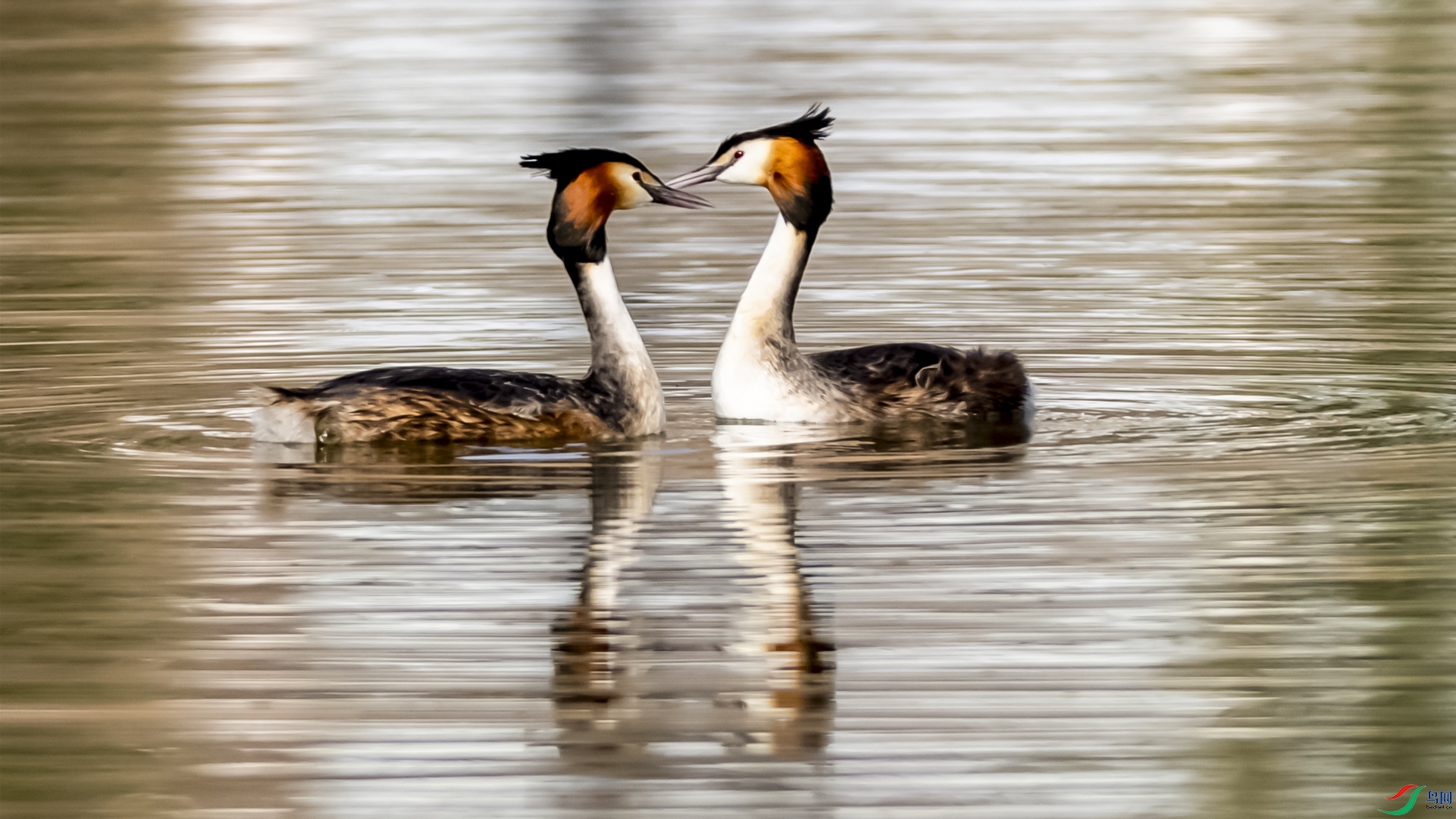 ��ͷOK ����.jpg