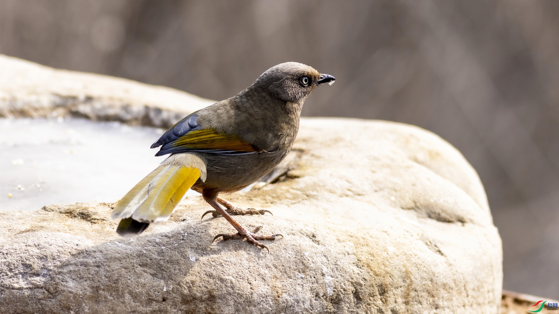 4K2A4296�ȳ�����OK ����.jpg