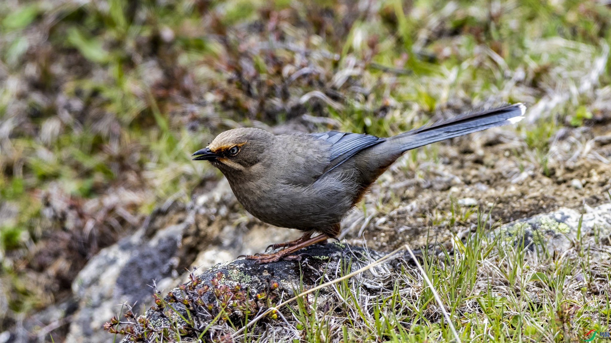 �ָ�����OK ����.jpg