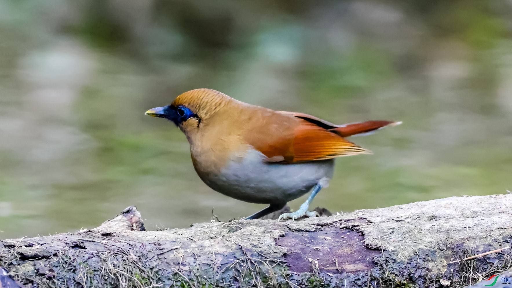 ������OK ����.jpg