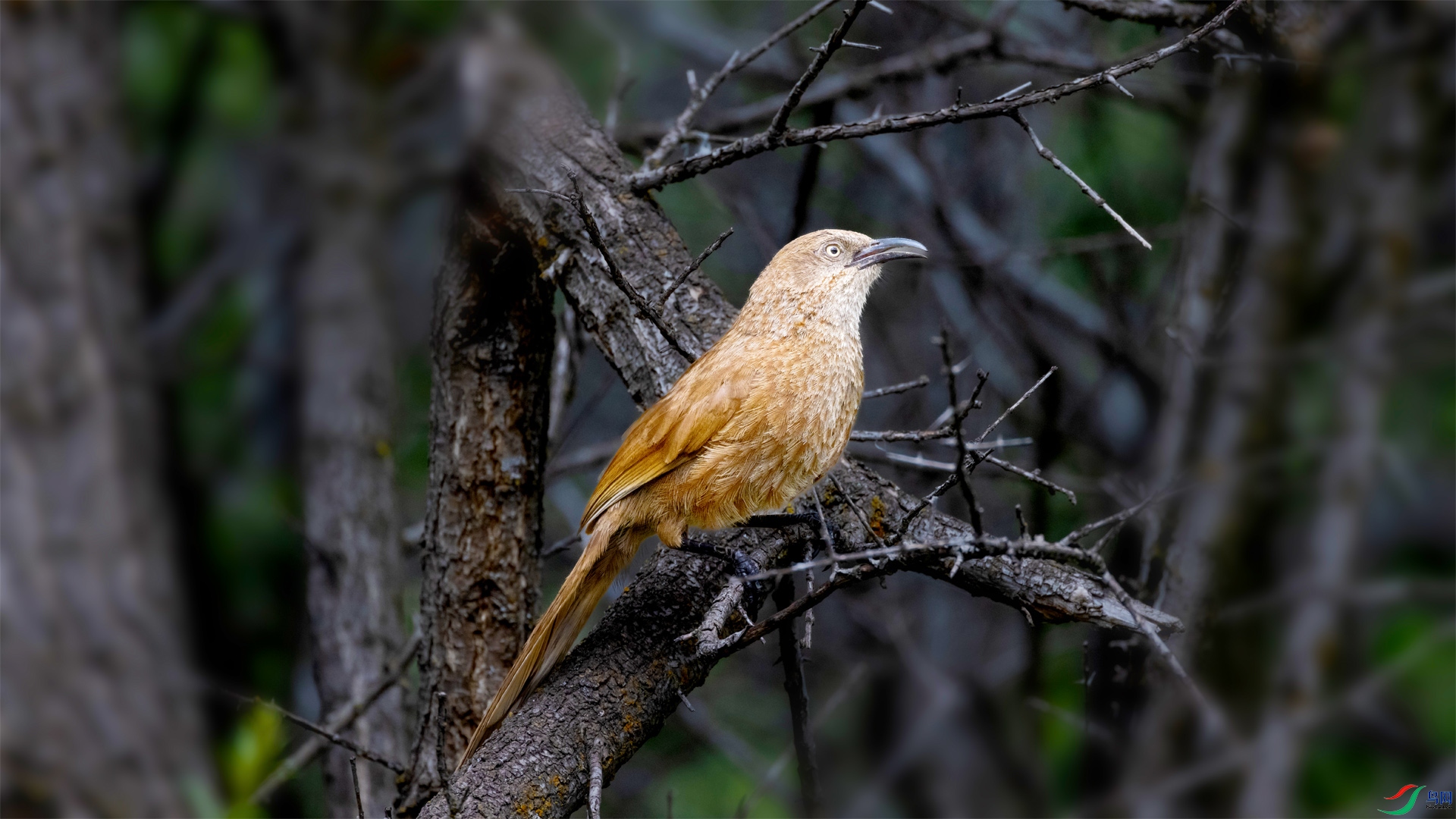 4K2A6207 �ز���OK ����.jpg