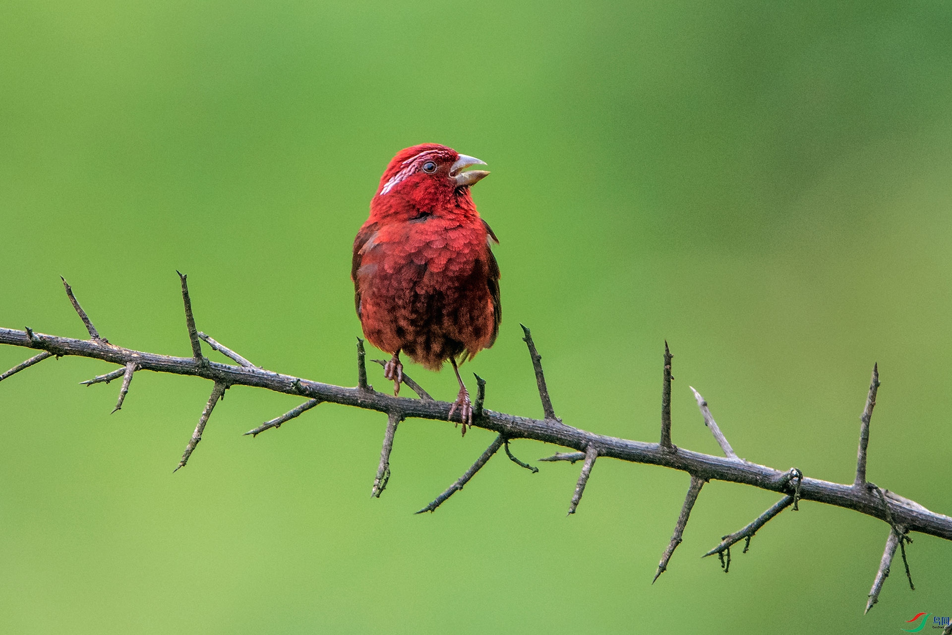 ��_AUU2973���ƺ���ȸ(23.8.9)-1.jpg