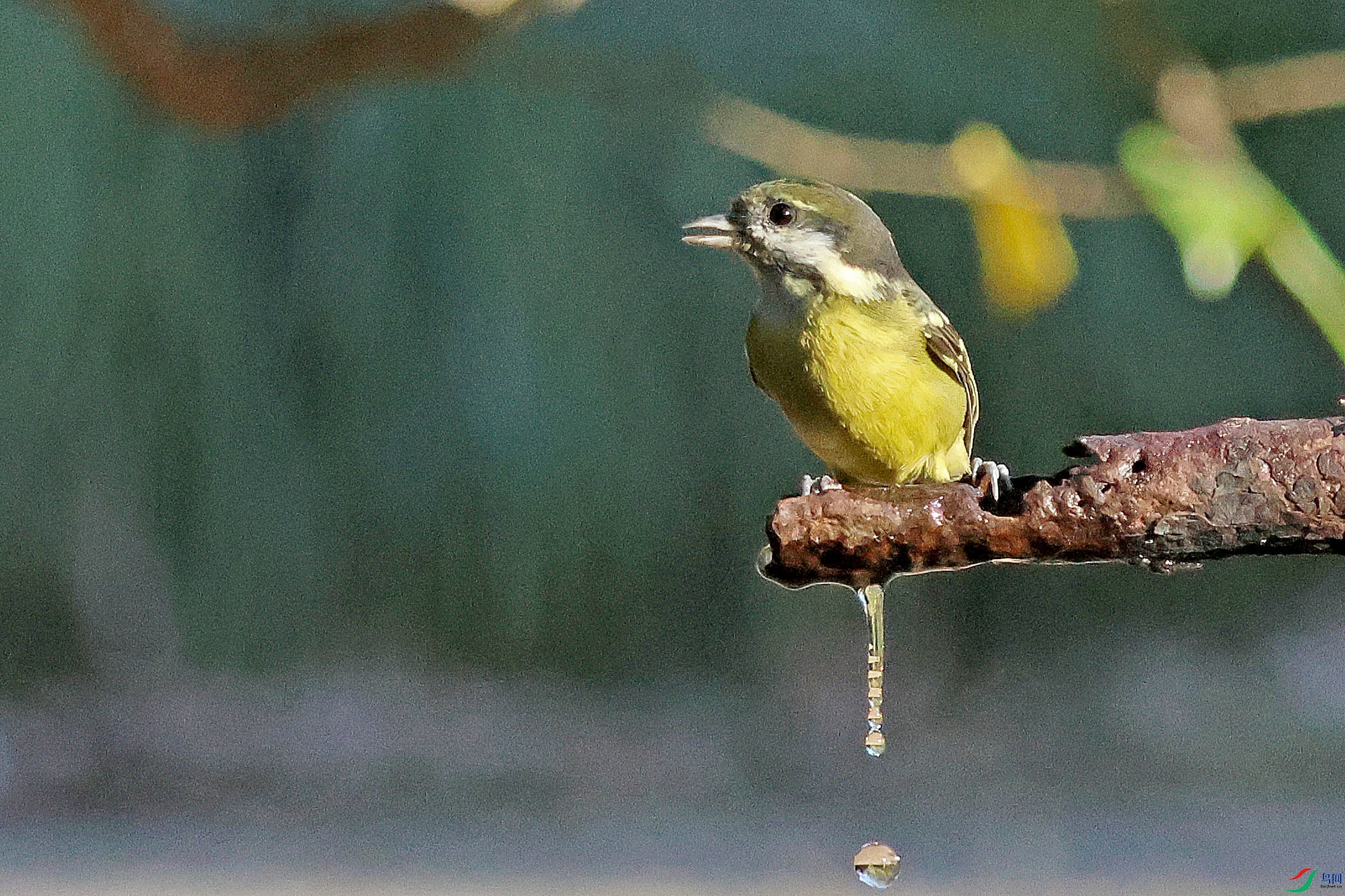 2G9A3888.JPG