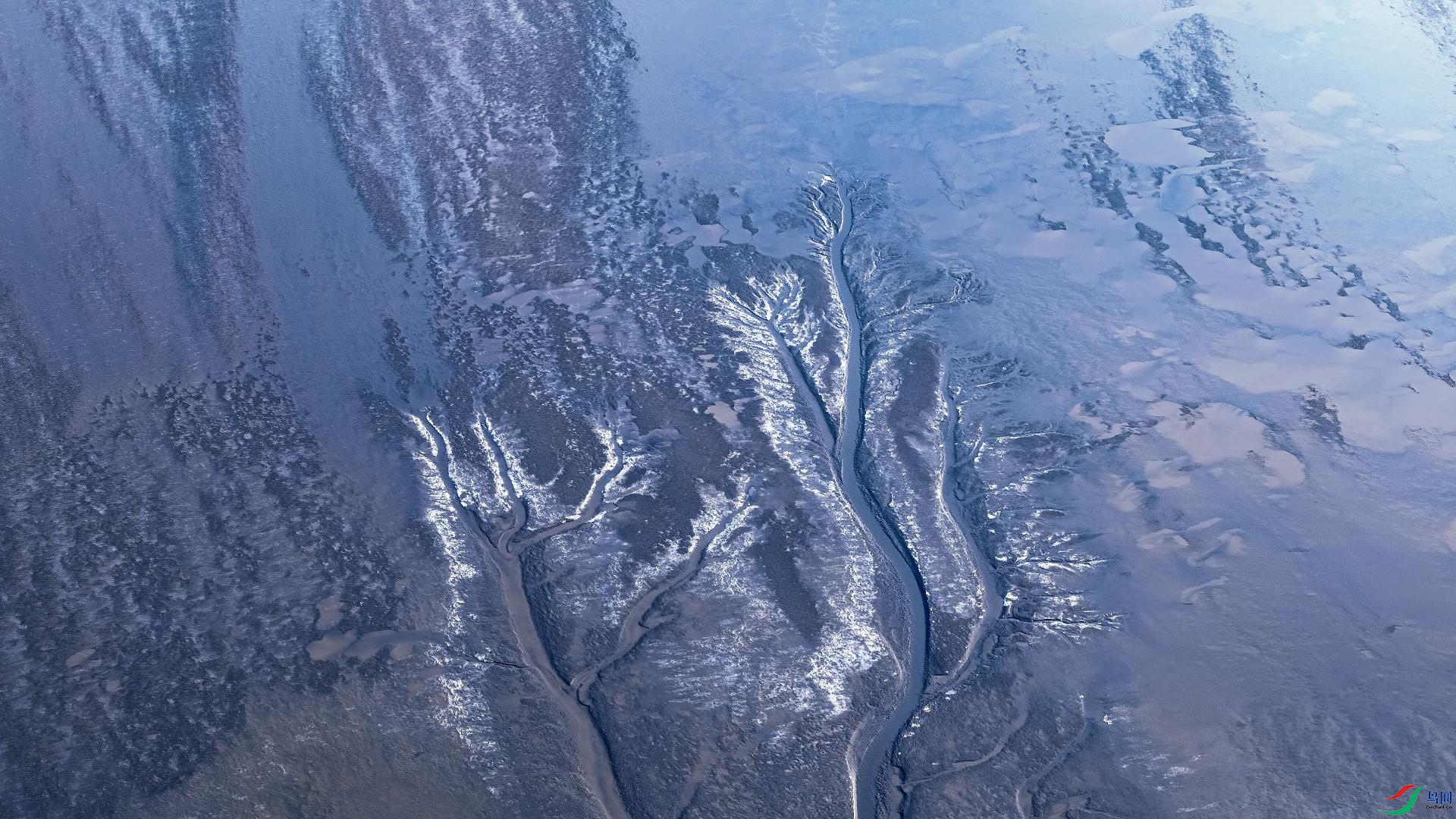 Ǯ�����ı��賱ϫ��