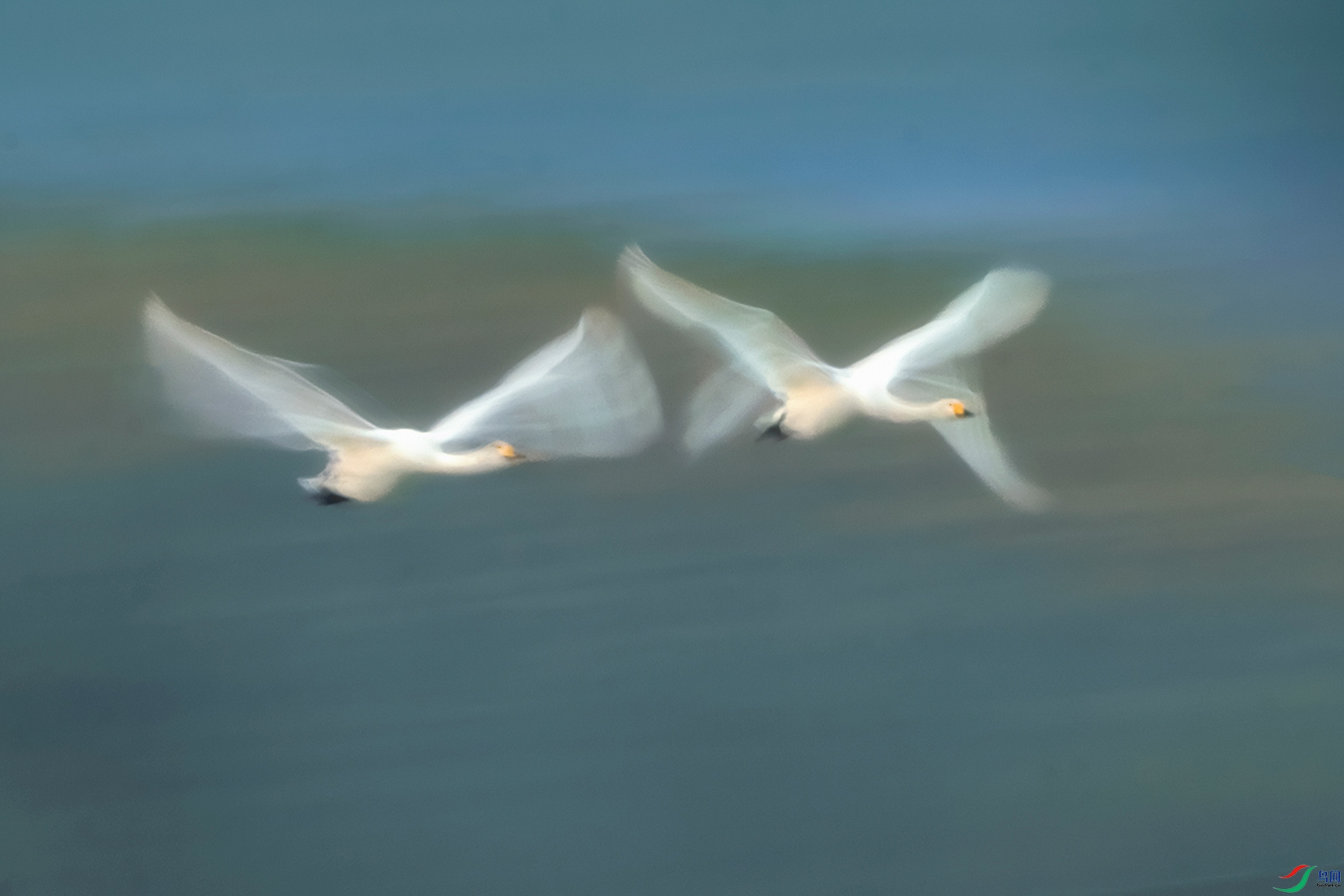 �����----�������������