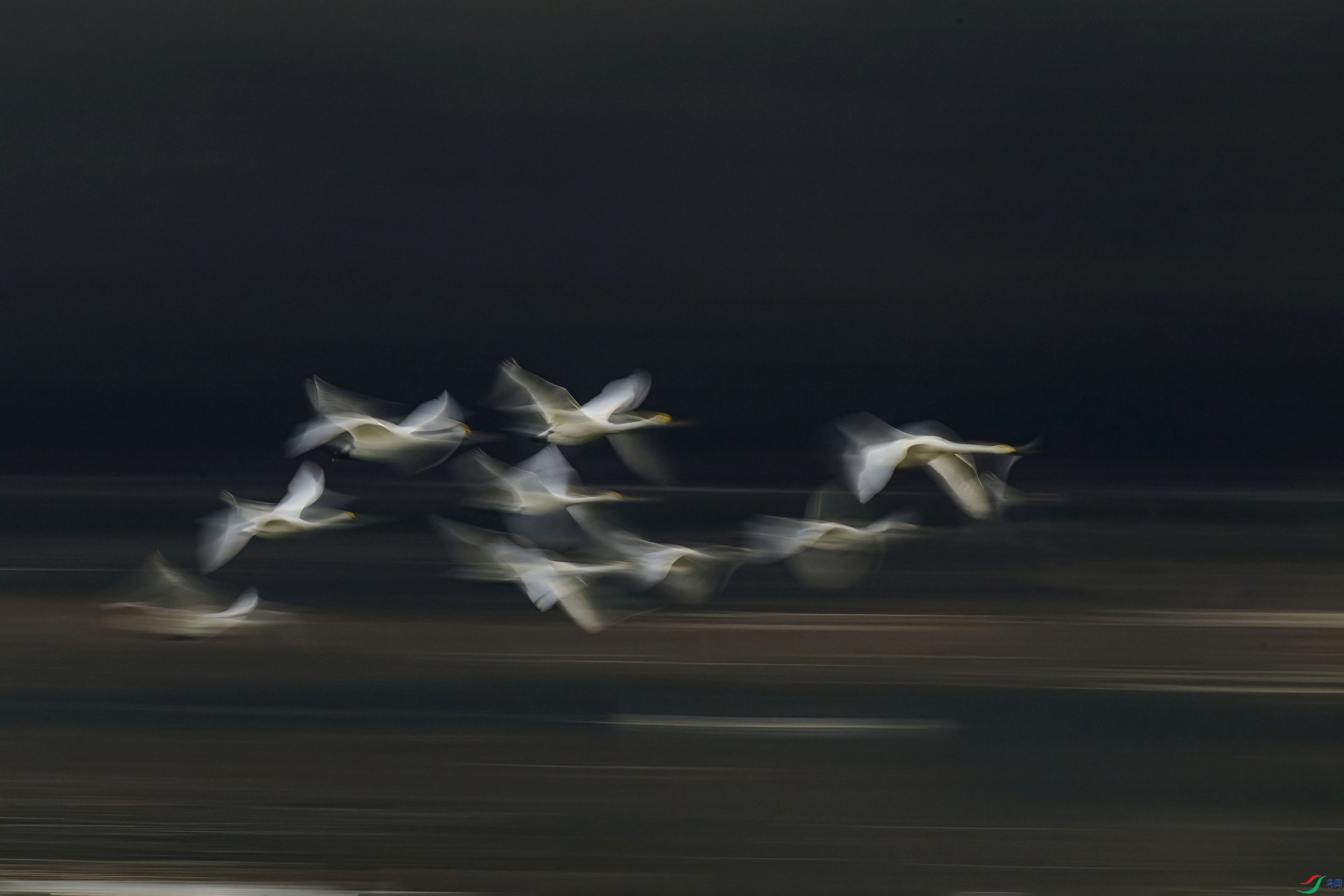 _DSC6483 ����F003A.jpg