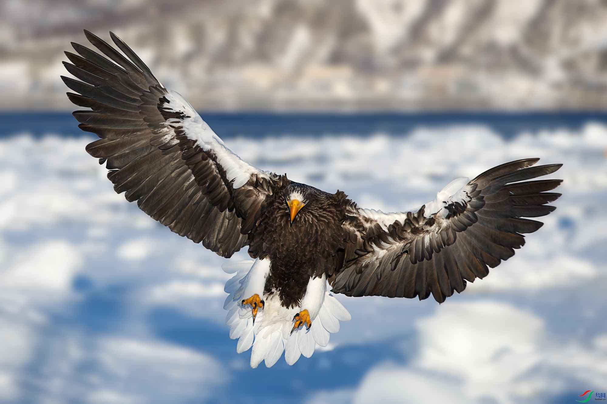 A68O6822 ����.jpg