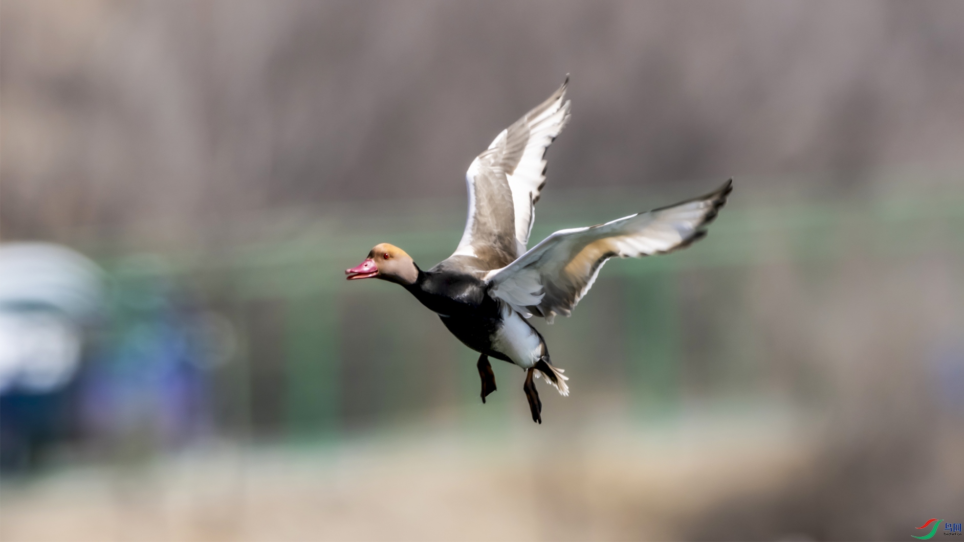 ����ǱѼOK ����.jpg