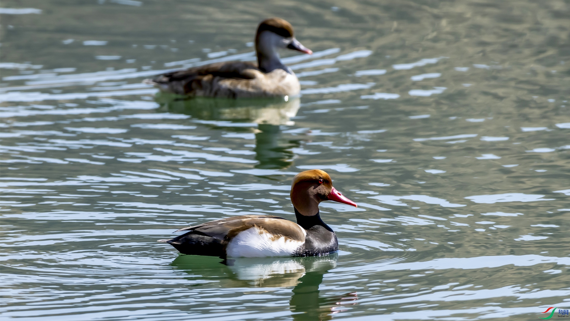 ����ǱѼ ˫OK ����.jpg