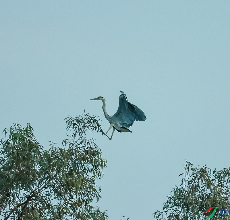 0J2A0279-0.jpg
