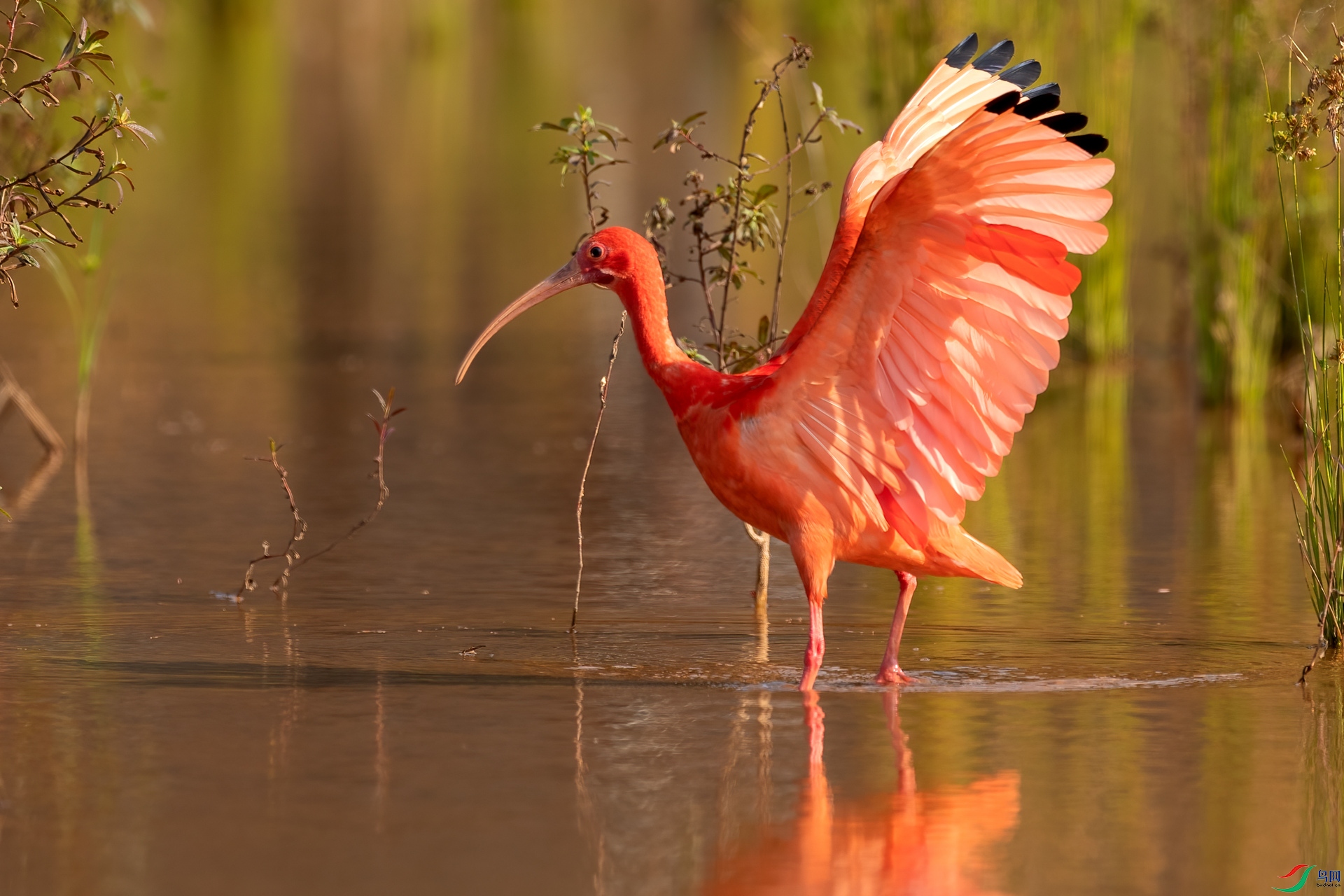 B86I6250 _����.jpg