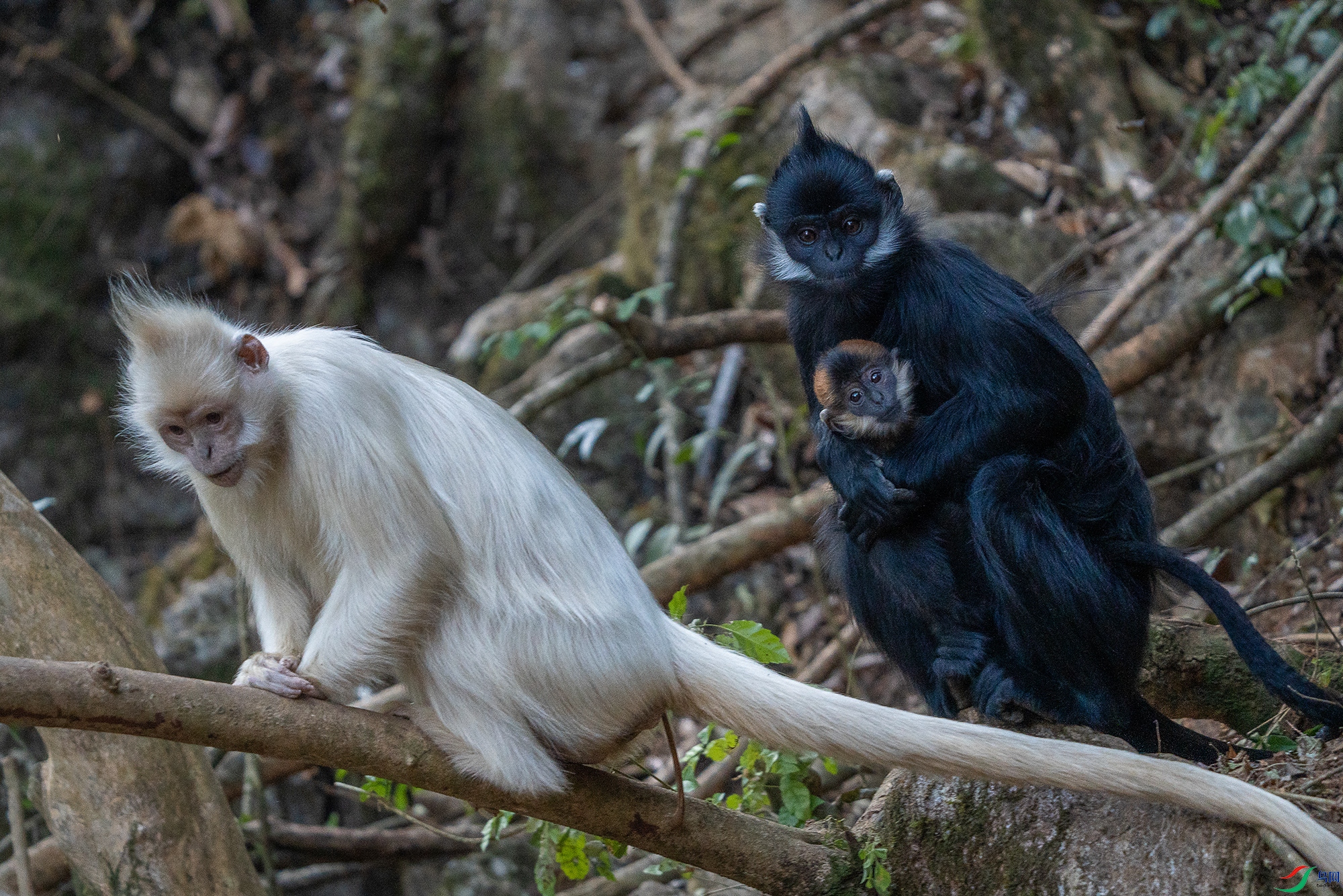 DSC08018 ���� 2.jpg