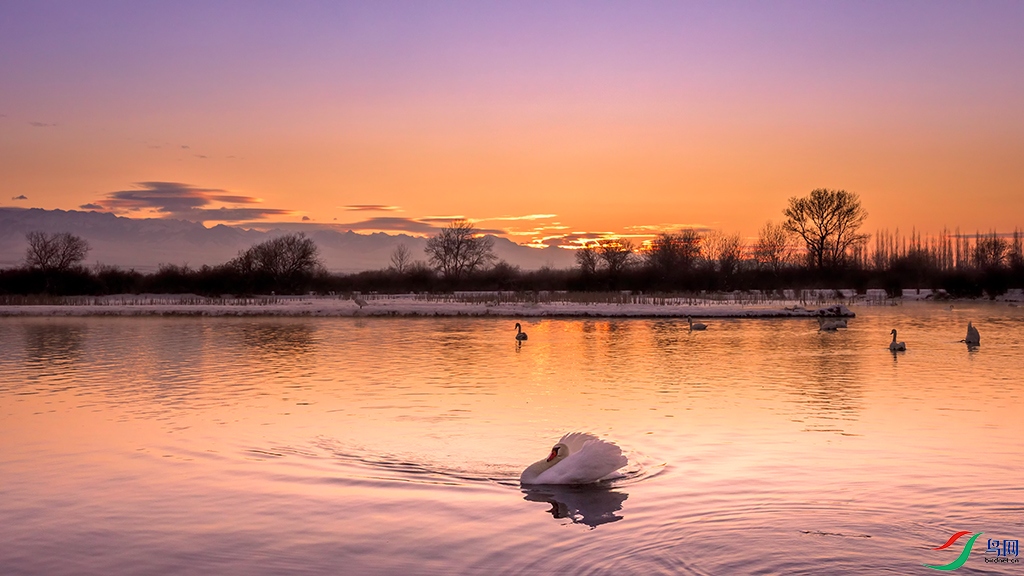 xjynR3241223 (2797).jpg