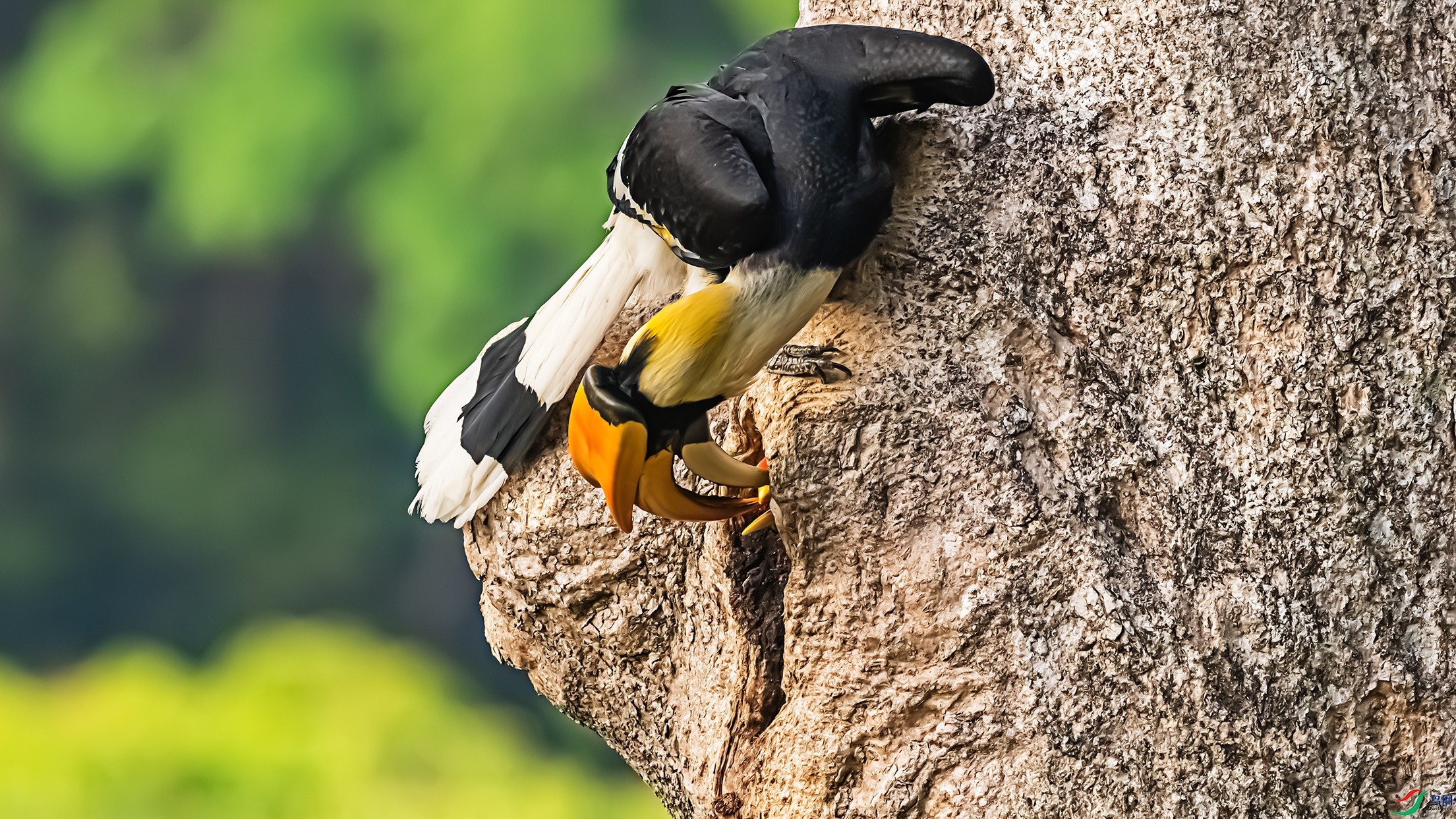 4915-11 ����.jpg