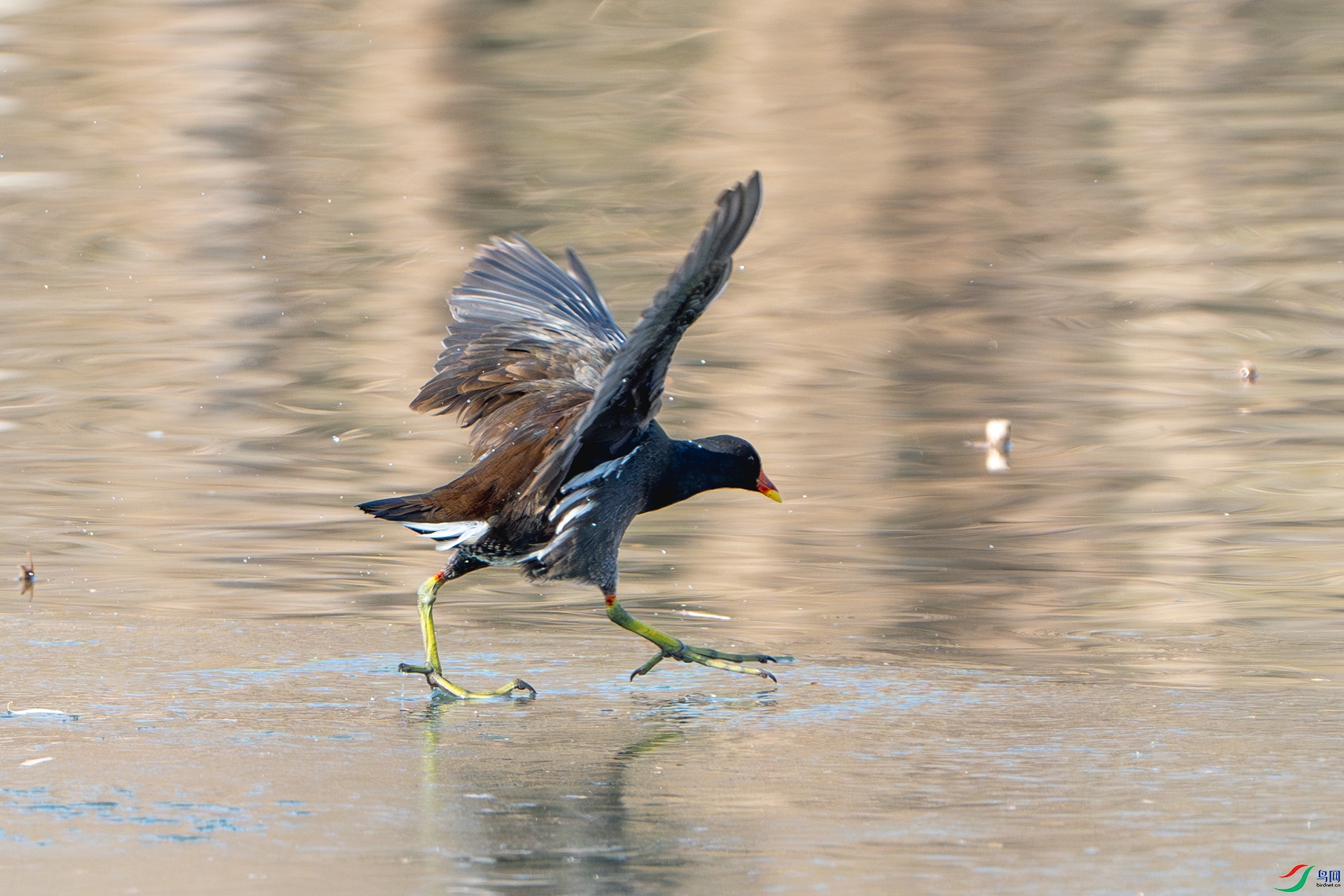 DSC05245-����ǿ-NR ����.jpg