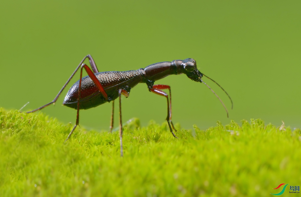 DSC_5779 ����.jpg