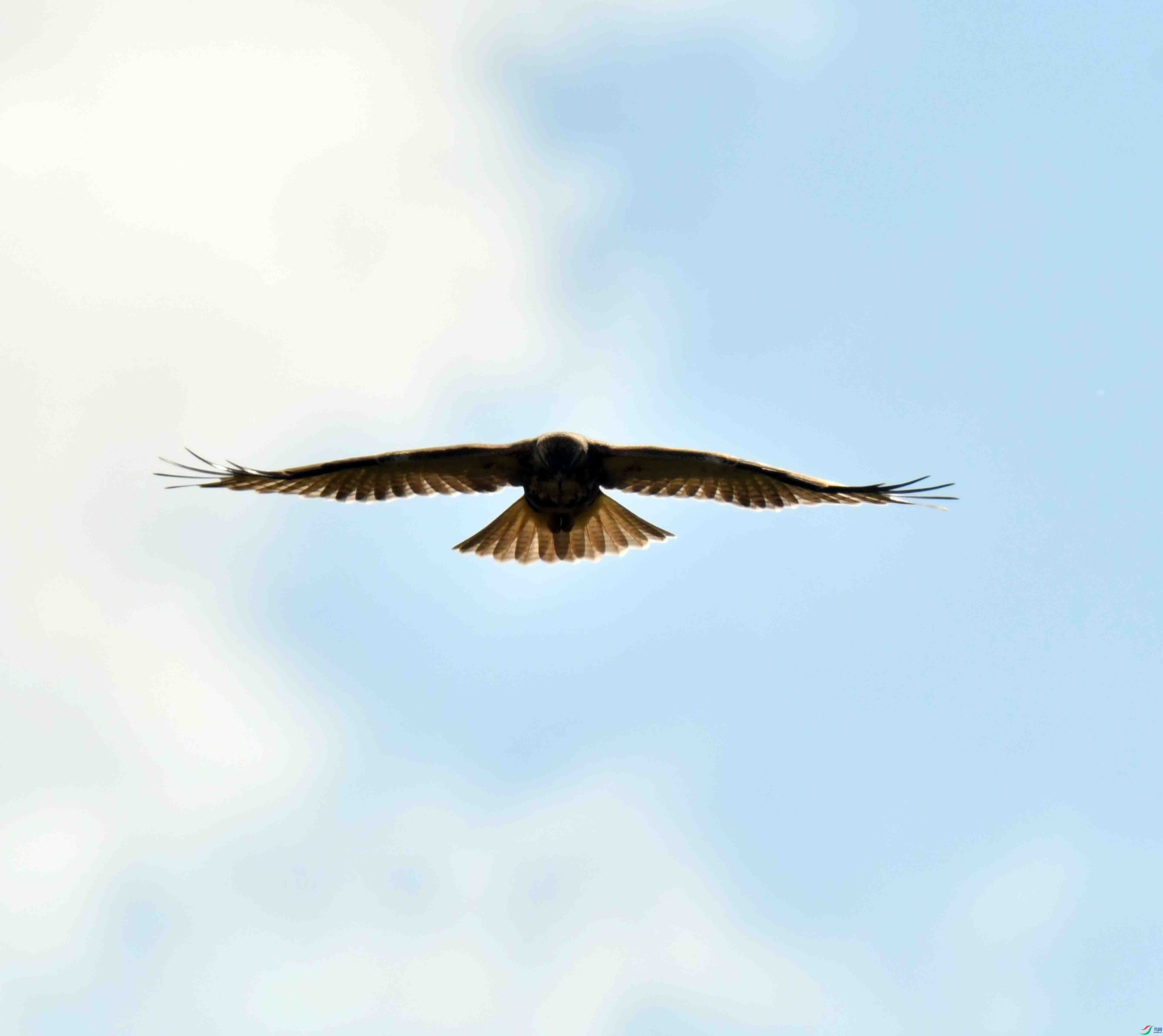 DSC_9084.JPG