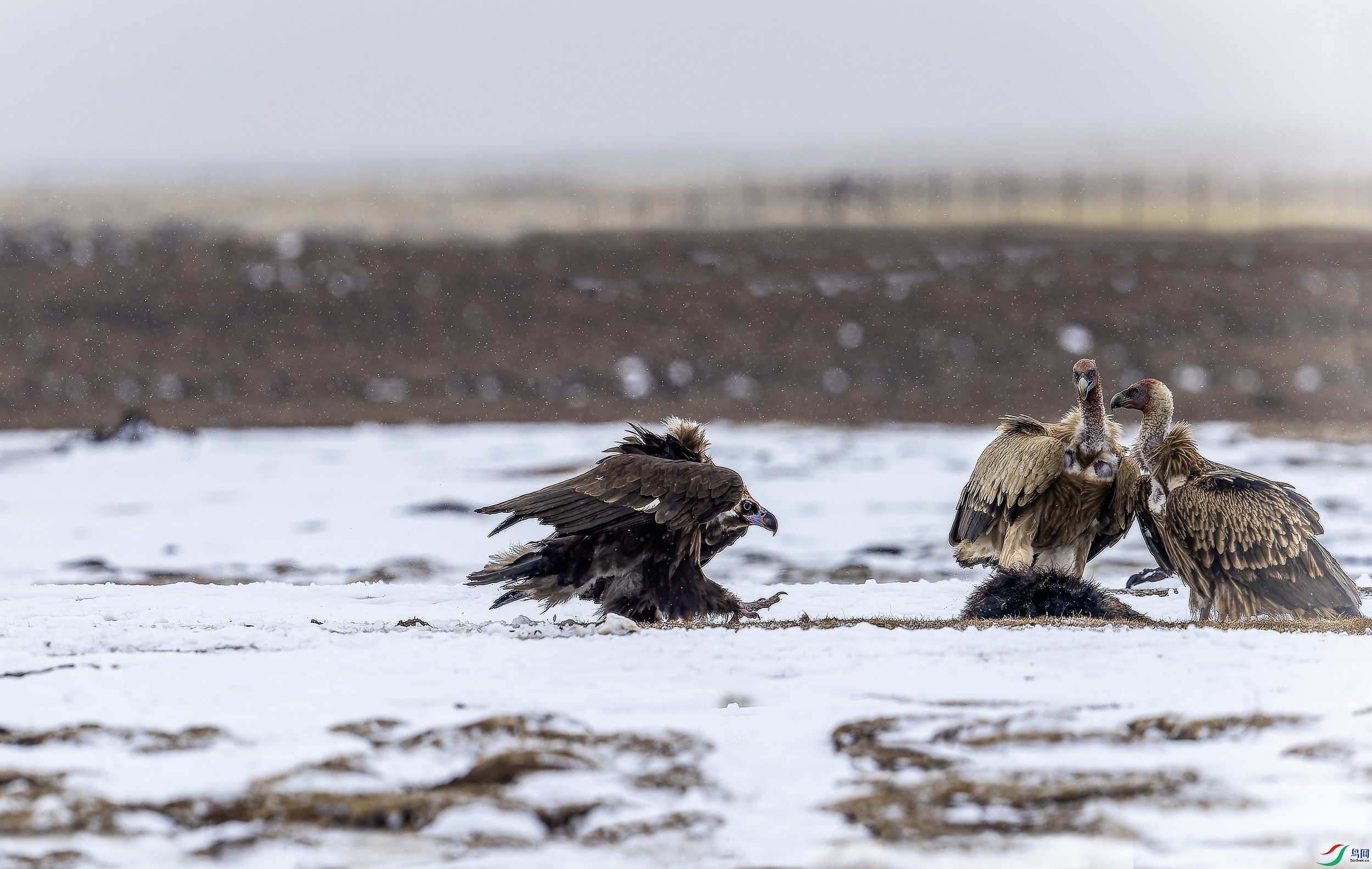 ͺ�� 3 (11)-1.jpg