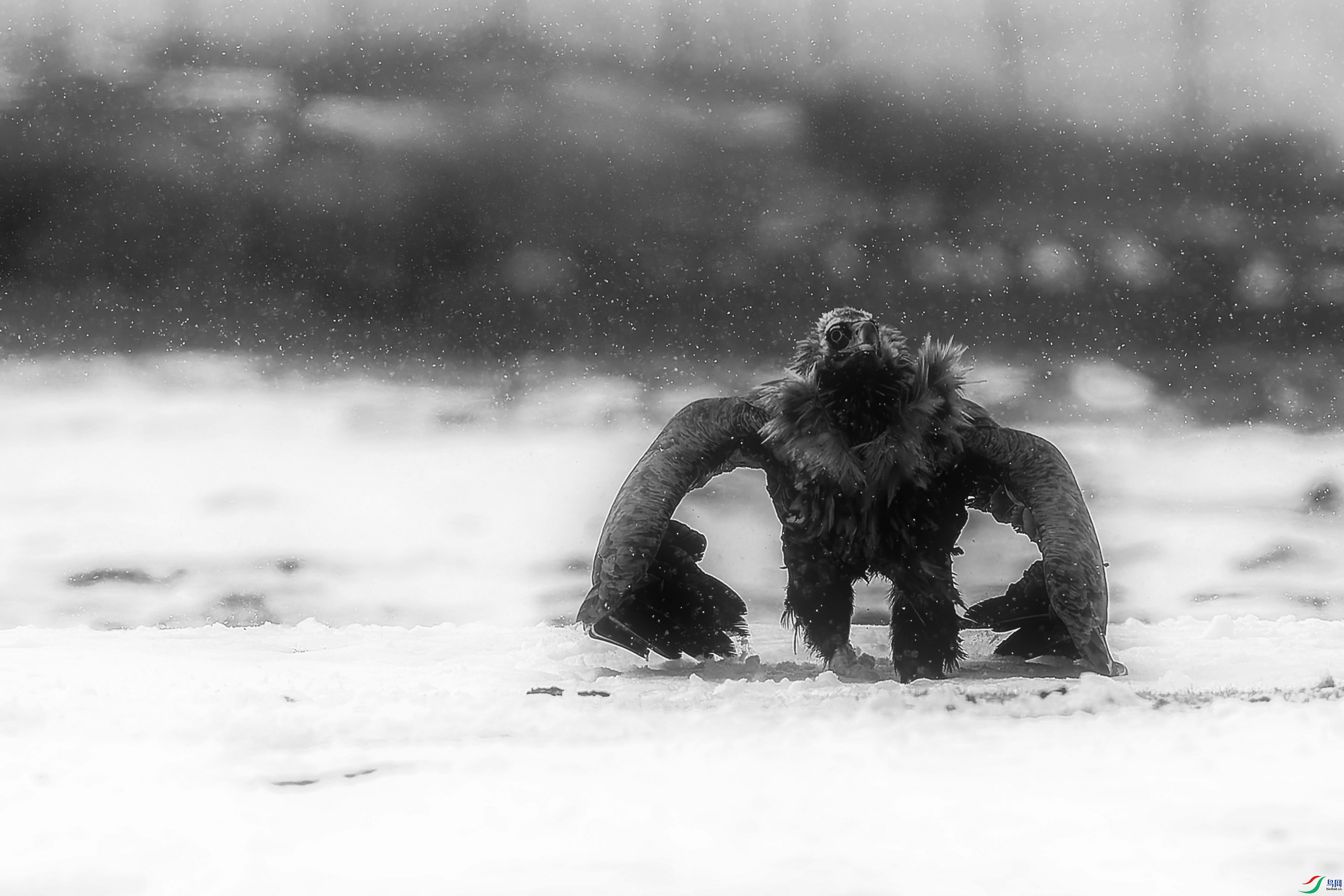 ͺ��2 (4)-1-1.jpg