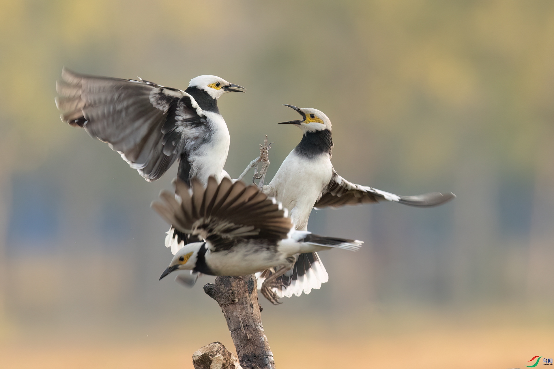 B86I7924 _����.jpg