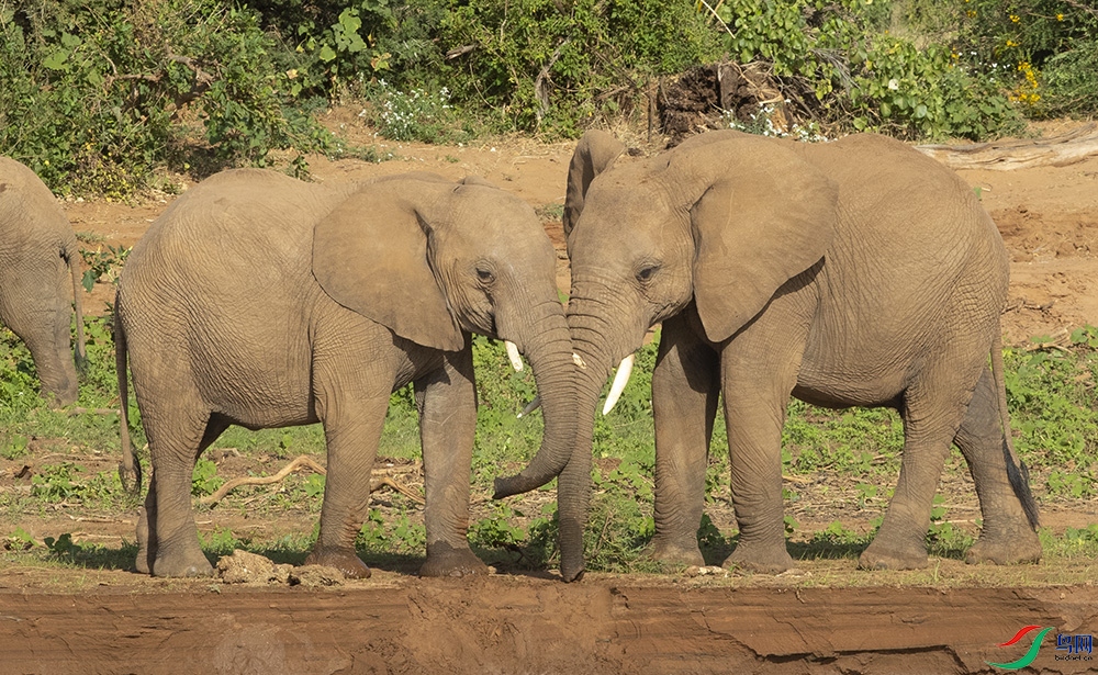 ���޴��� (5).jpg