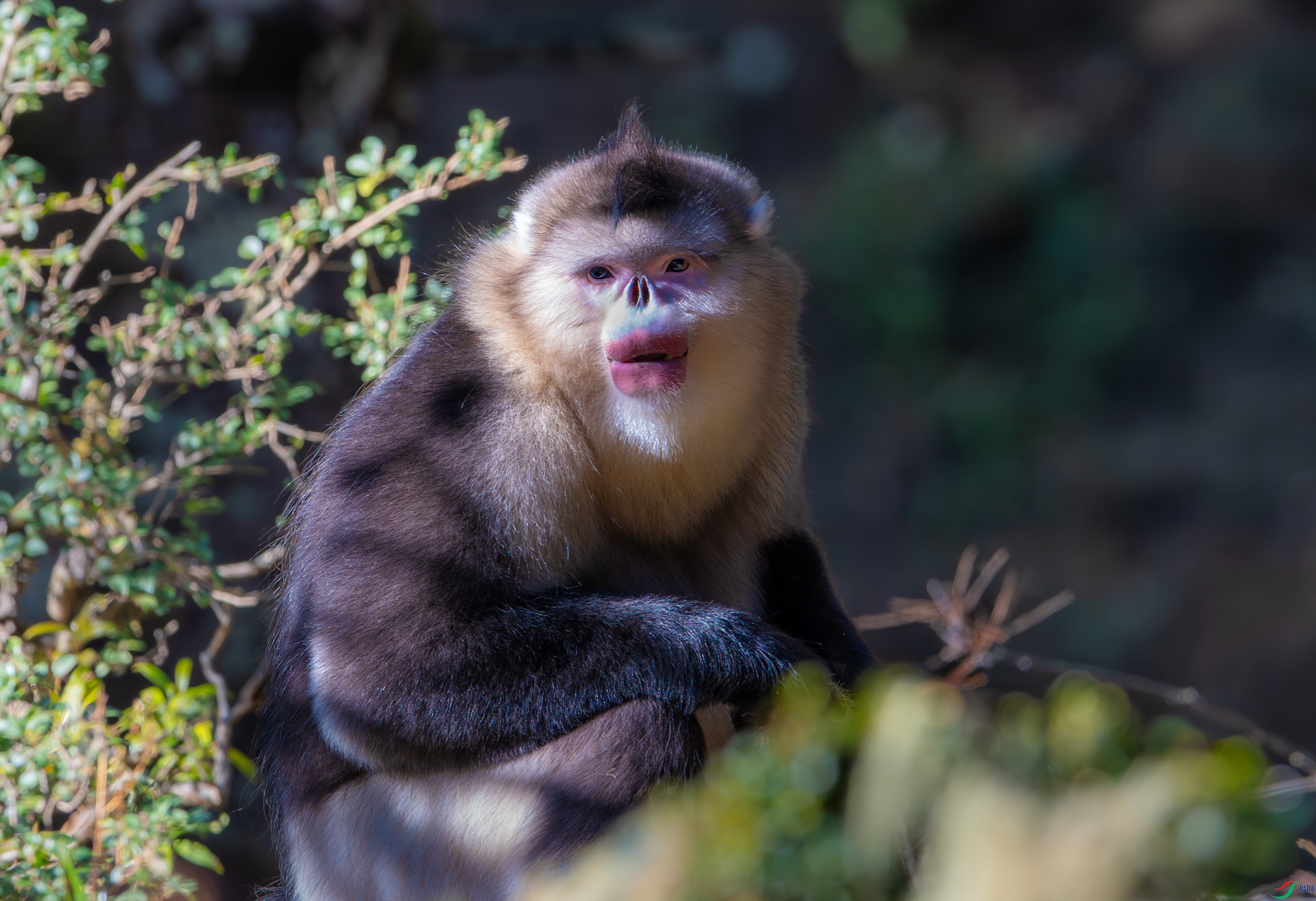 DSC_1412-����ǿ-NR-11.jpg