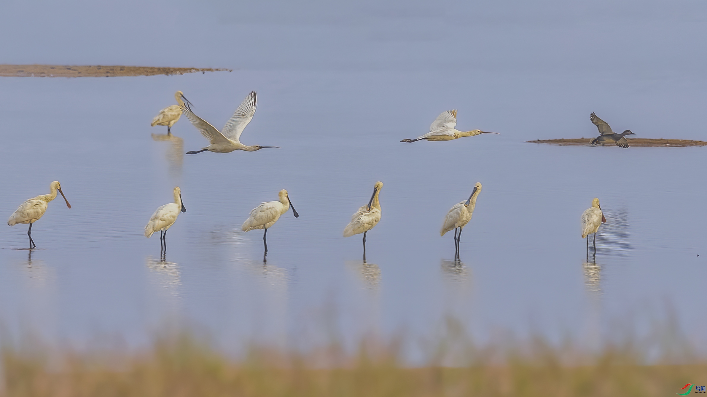 AE1V1904 ����.jpg