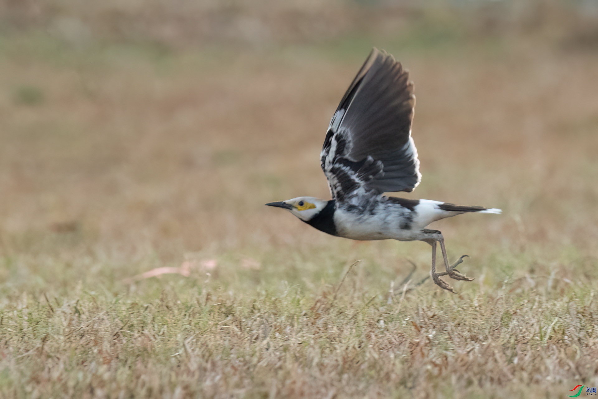 B86I6253 _����.jpg