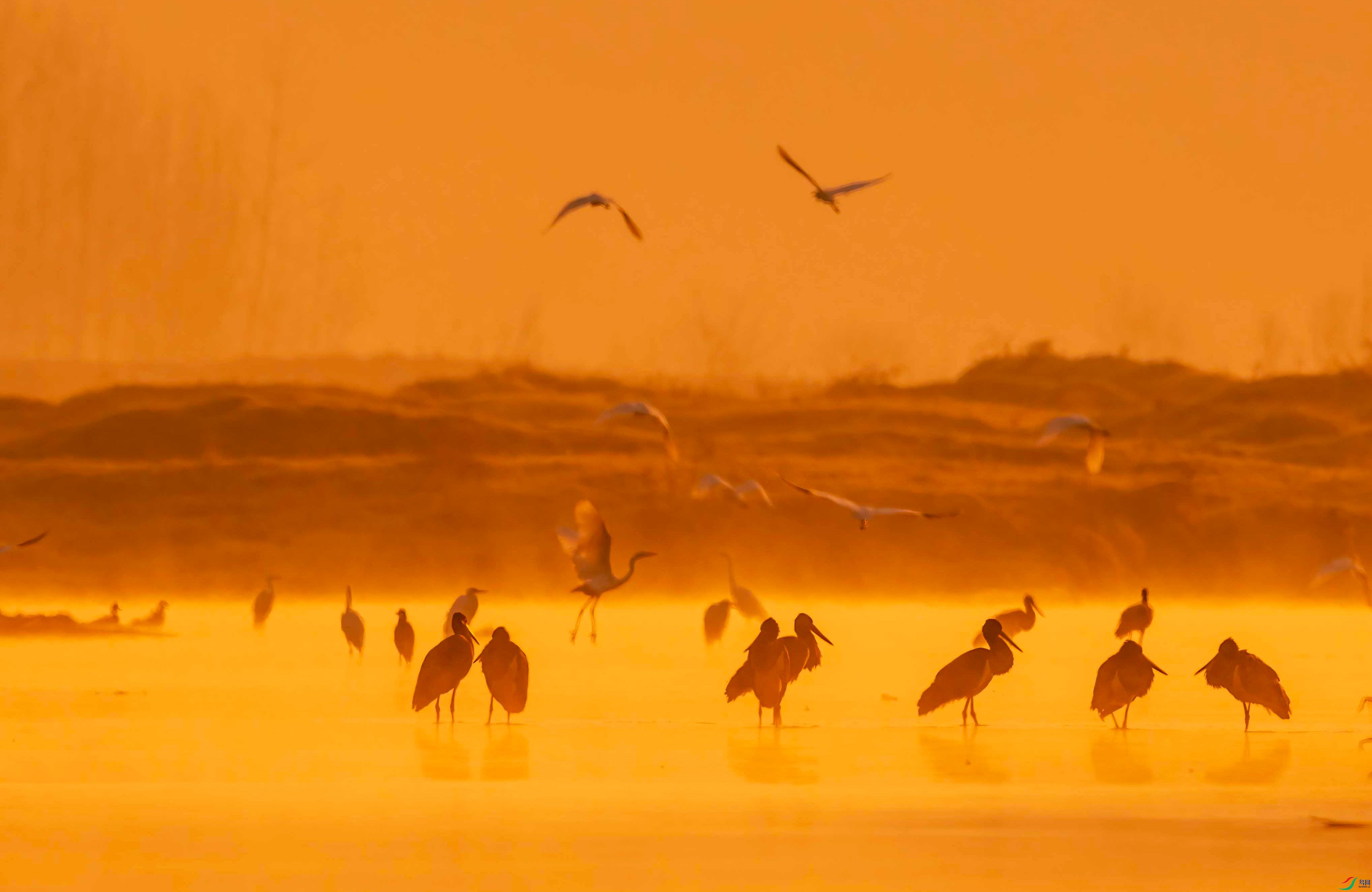 DSC_3290 ����.jpg