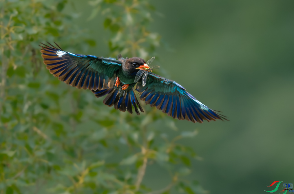 lxwyh8i �ؼң��ٻ���Ӱʦ������22.png