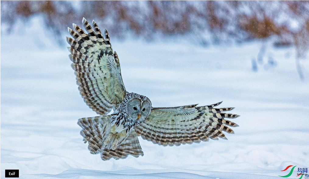 ������� ����ĳ�β���^���ٻ����������22.png