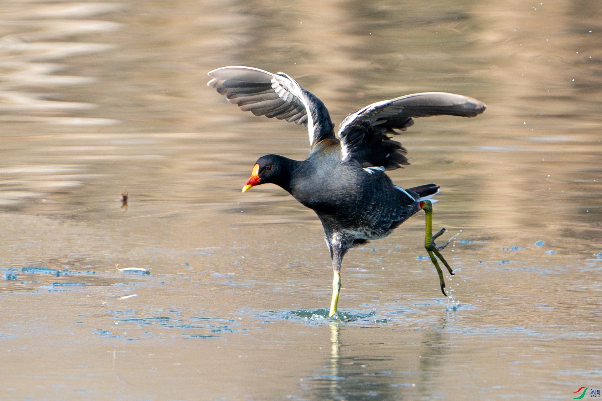 DSC05253-����ǿ-NR ����.jpg